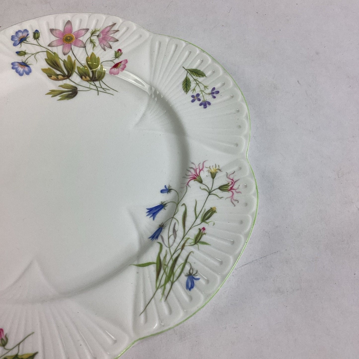 Shelley Wild Anemone Fine Bone China #13977 Salad Plate - England
