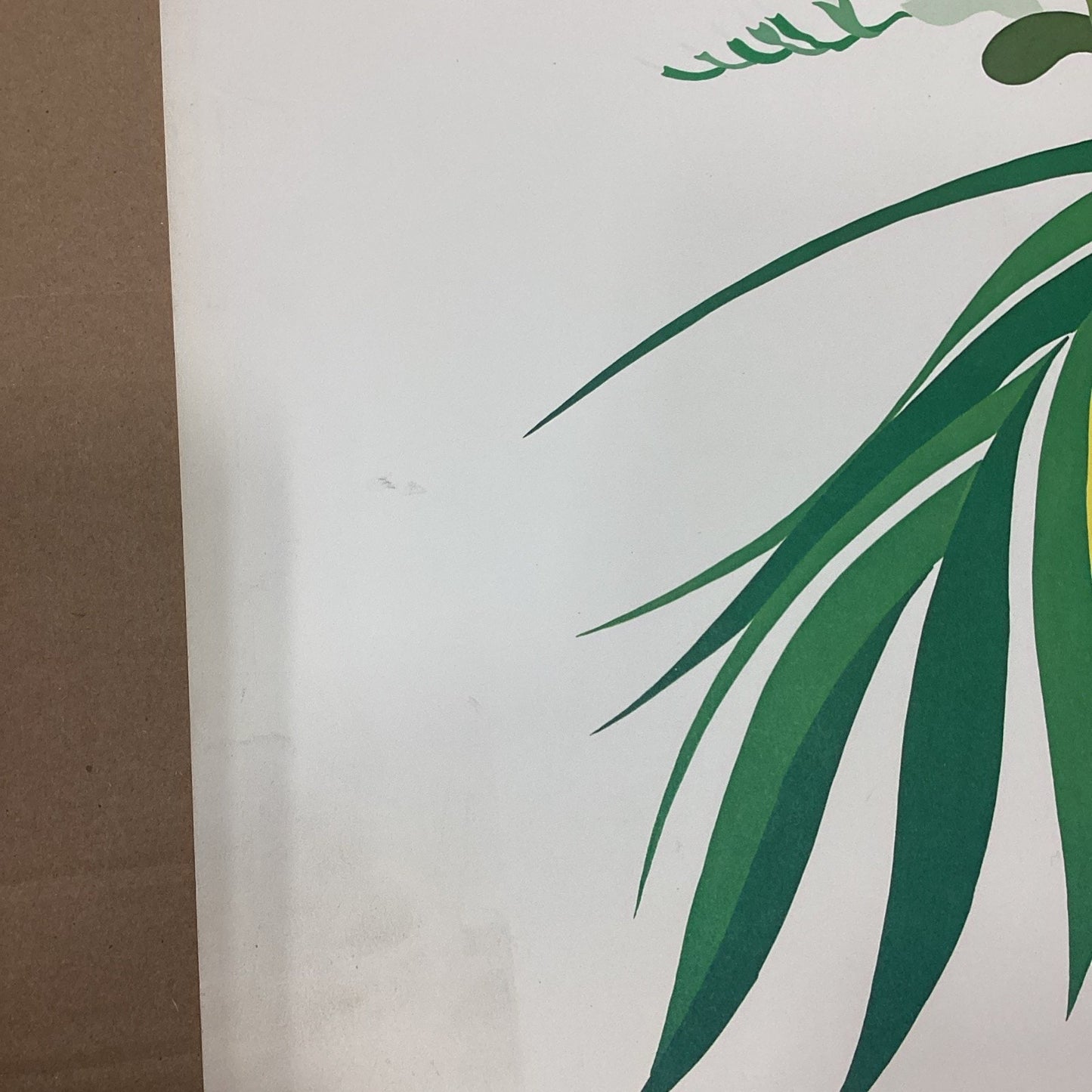 Galerie El Baz Lander - Floral Poster - 39.5x27.25”