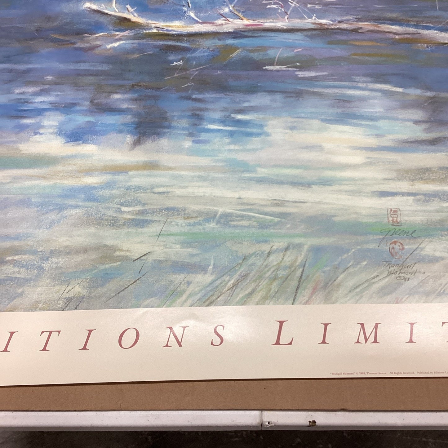 Tranquil Moment 2 Poster By Thomas Green 36x29”