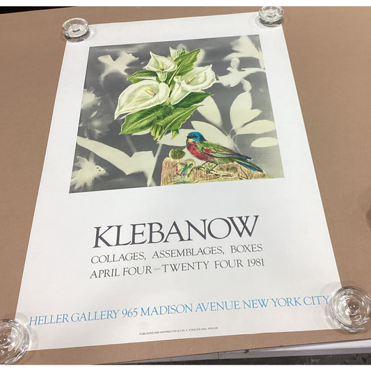 1981 Klebanow Heller Gallery Art Poster - 35x23.25” - Bird And Flower