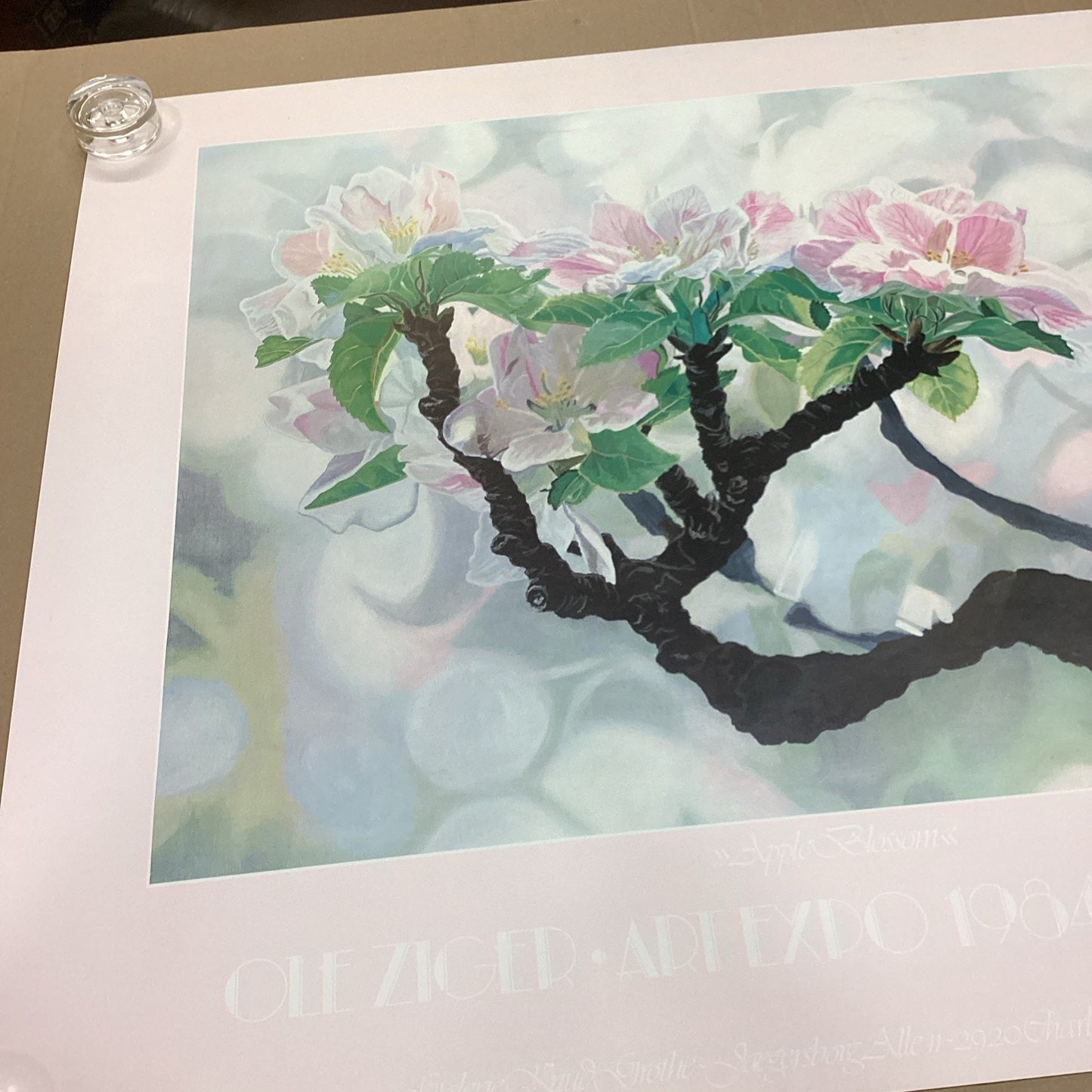 Oleziger Art Expo 1984 New York Floral Poster - 39x33”