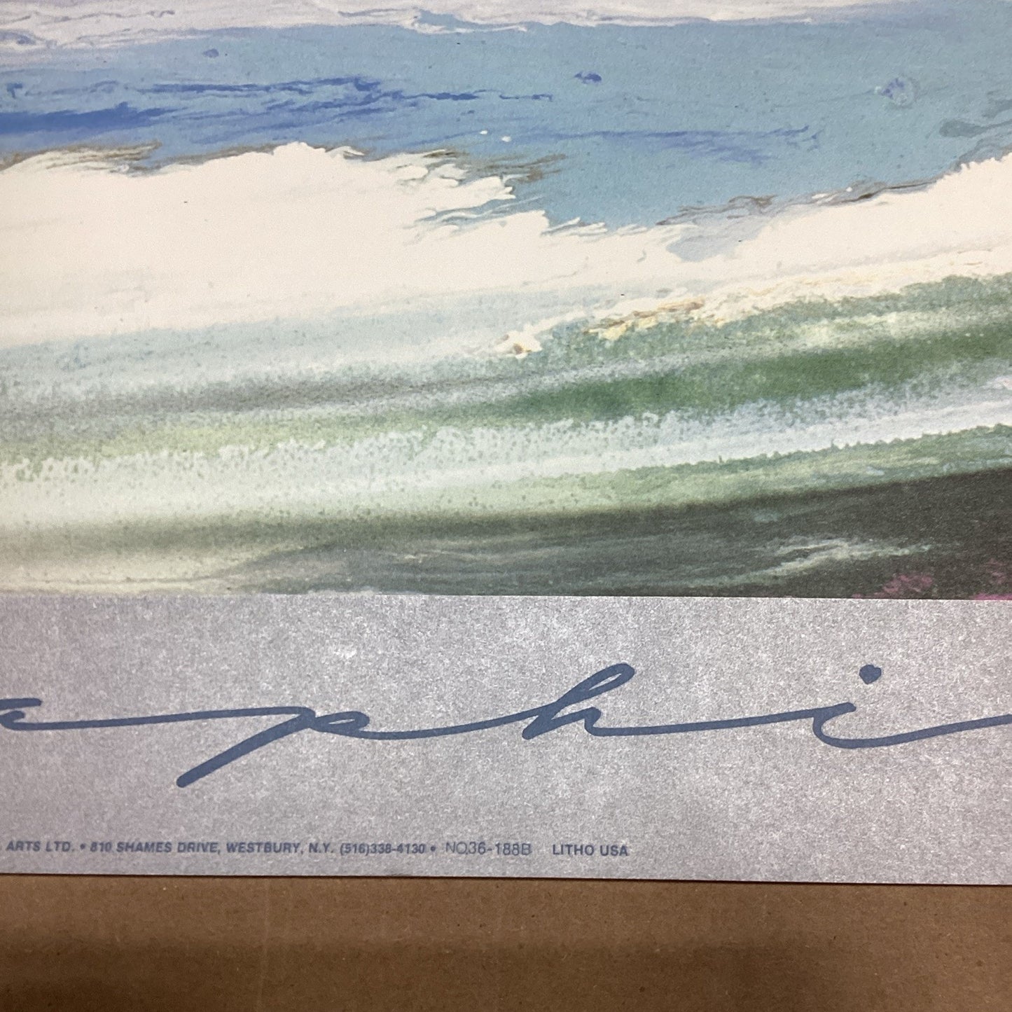 1986 Robert Aaron Young Lithograph Poster - 39x24”