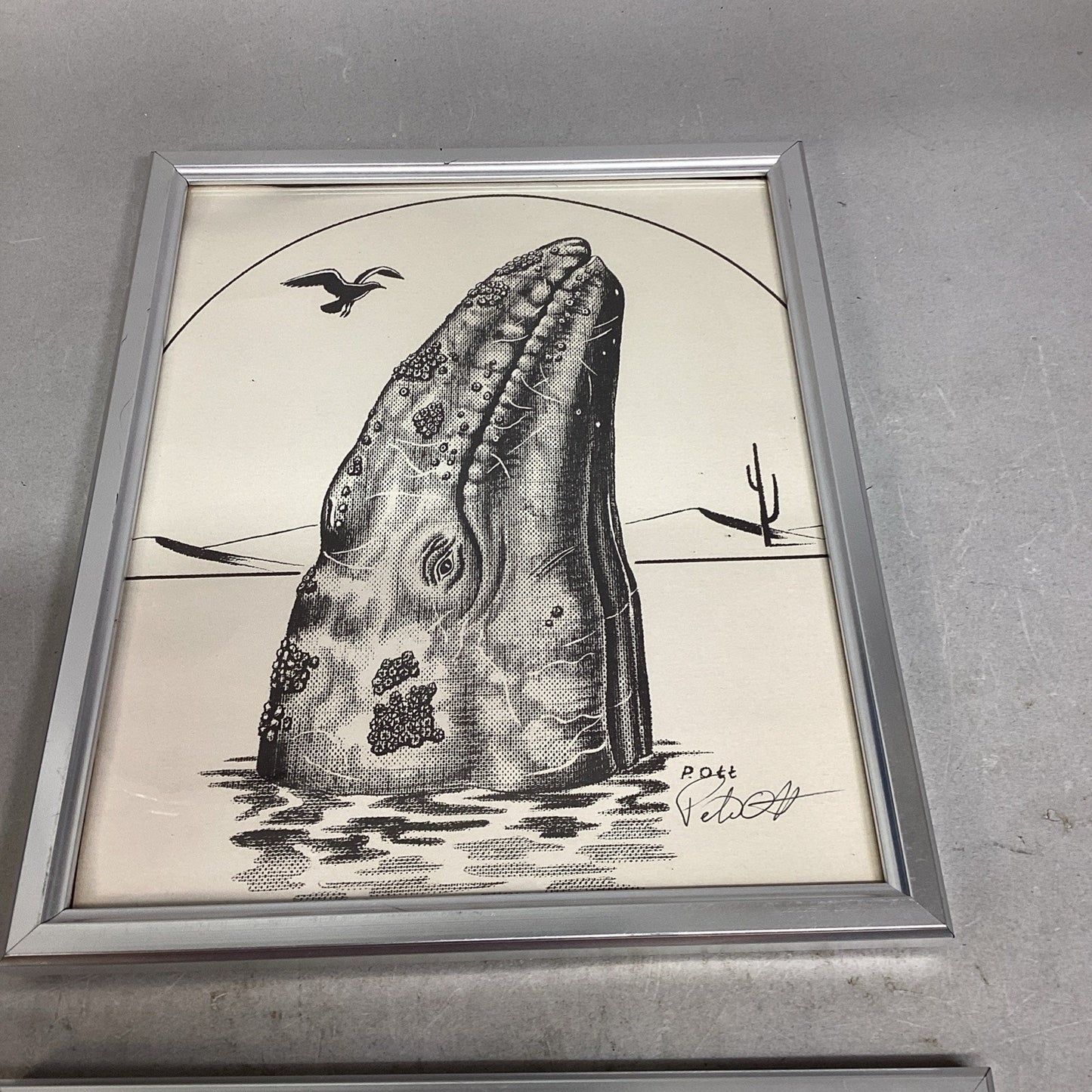 Set Of 2 Signed Peter Ott Whale Drawings - 11x9”