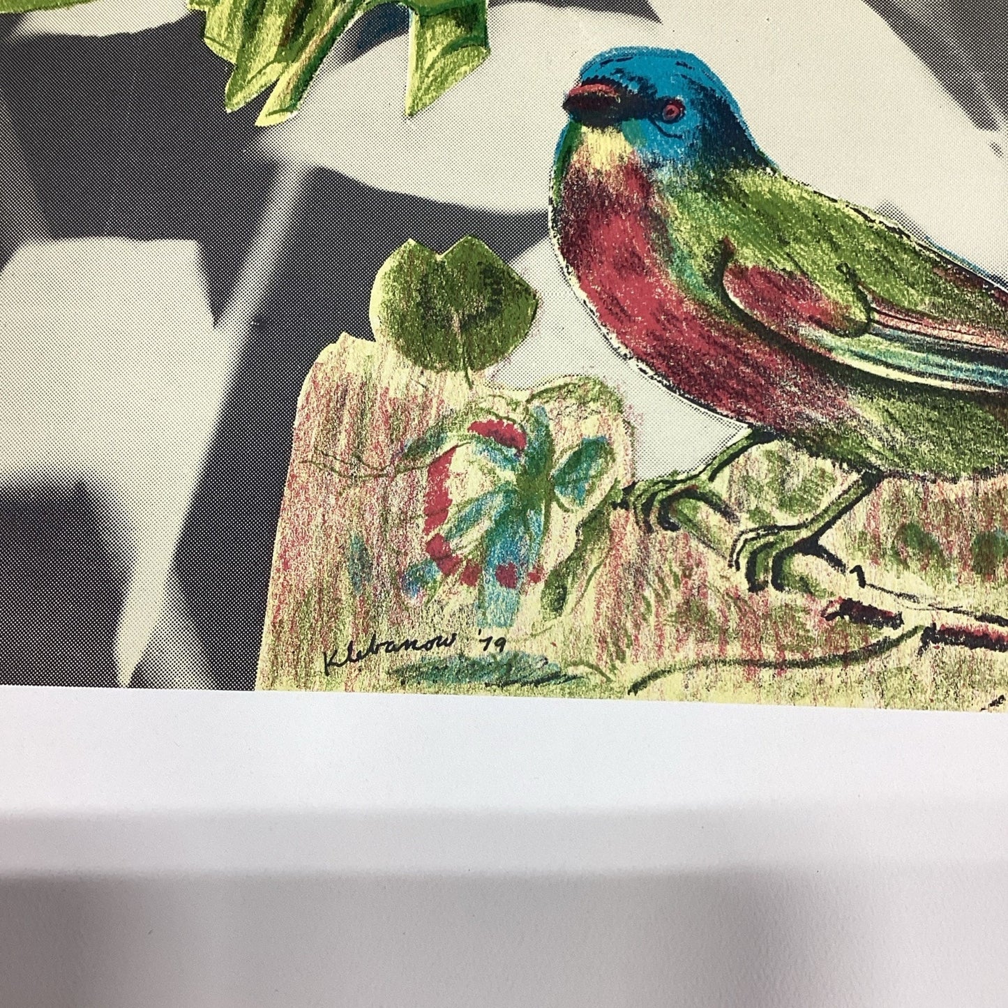 1981 Klebanow Heller Gallery Art Poster - 35x23.25” - Bird And Flower