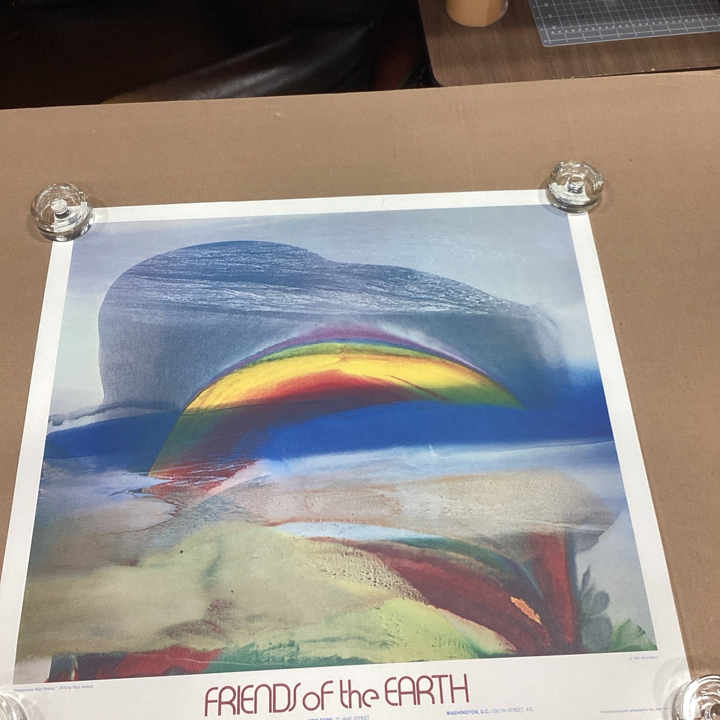 1980 Gerry Salant Friends Of The Earth Art Print Poster - 26.25x25”