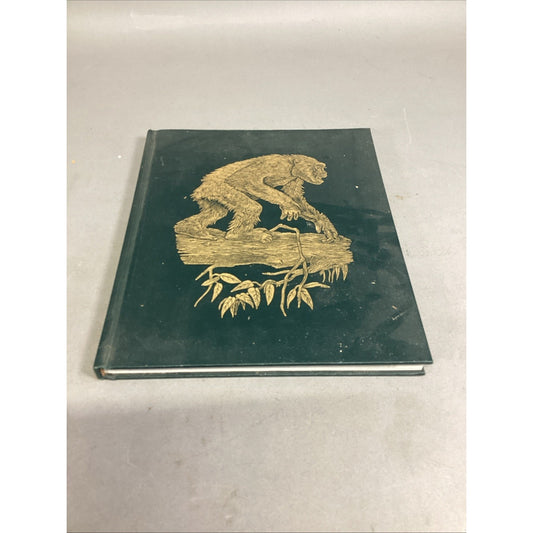 THE GREAT APES - Illustrated - Between Two Worlds National Geographic Society