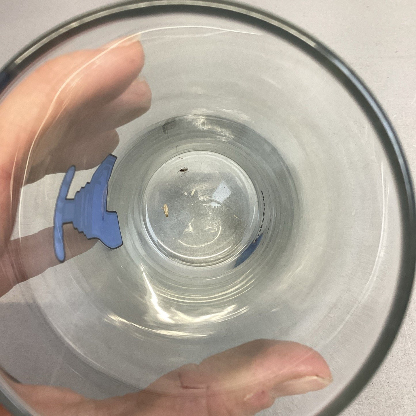 Vintage Propaganda Water Spicket Ocean Drinking Glass - Made In Thailand