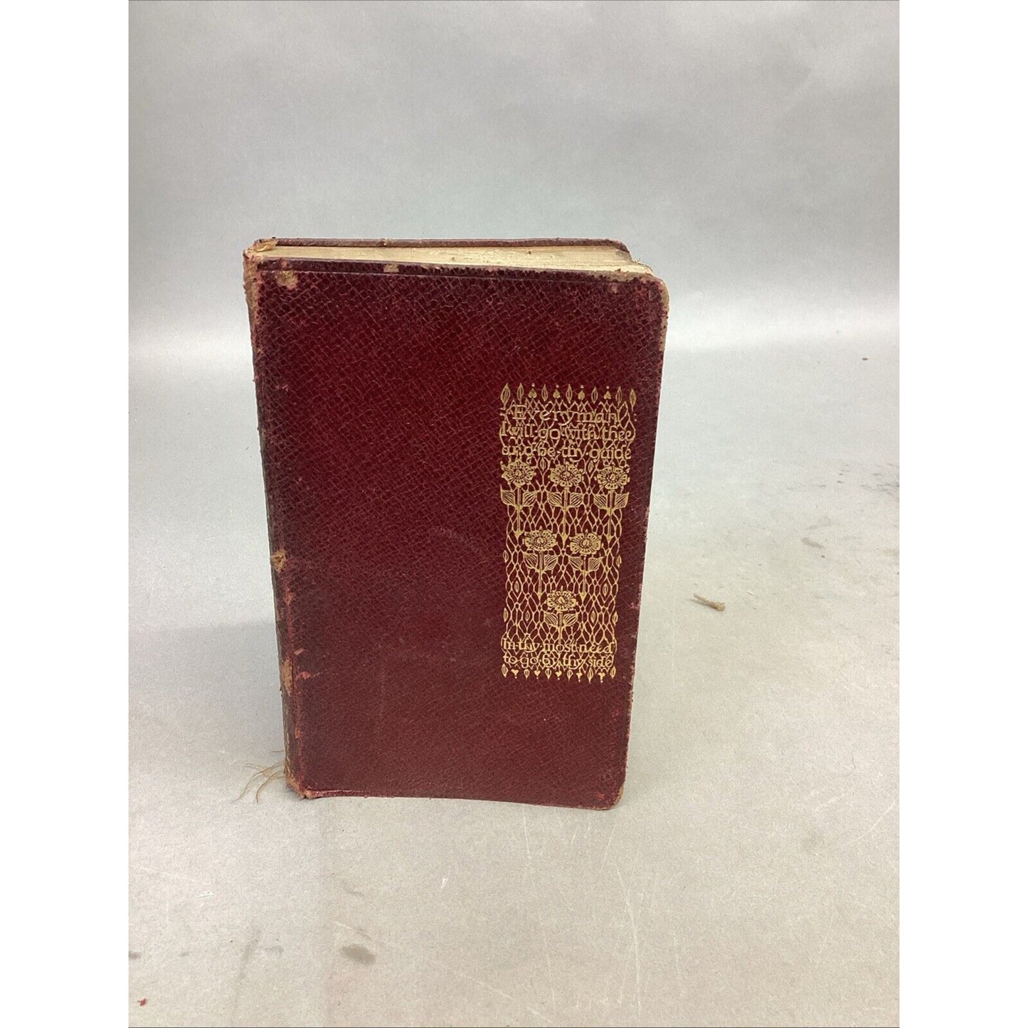 VTG 1916 - The Warden: Anthony Trollope (Everyman's Library Classics) Softcover
