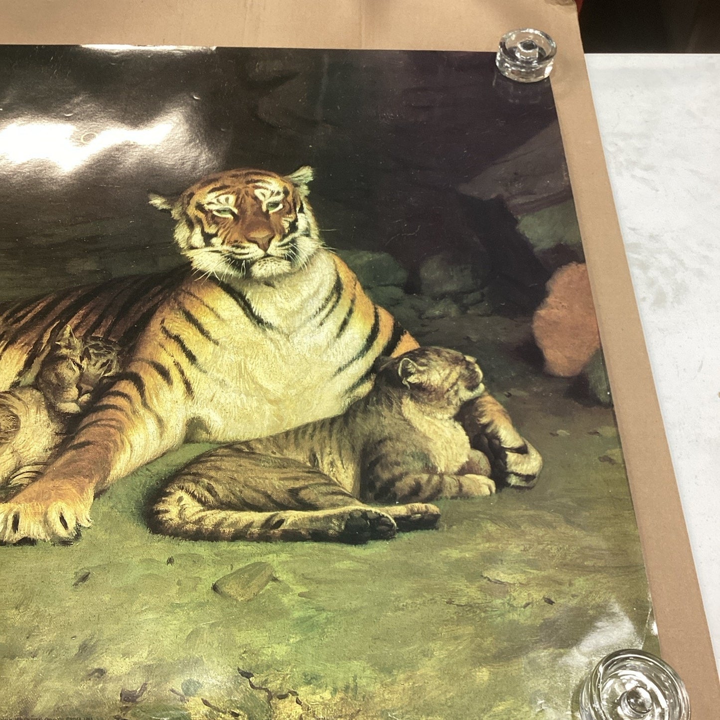 Metropolitan Zoo: A New Book Museum Of Art - Tiger And Cubs Poster - 41.25x29.75