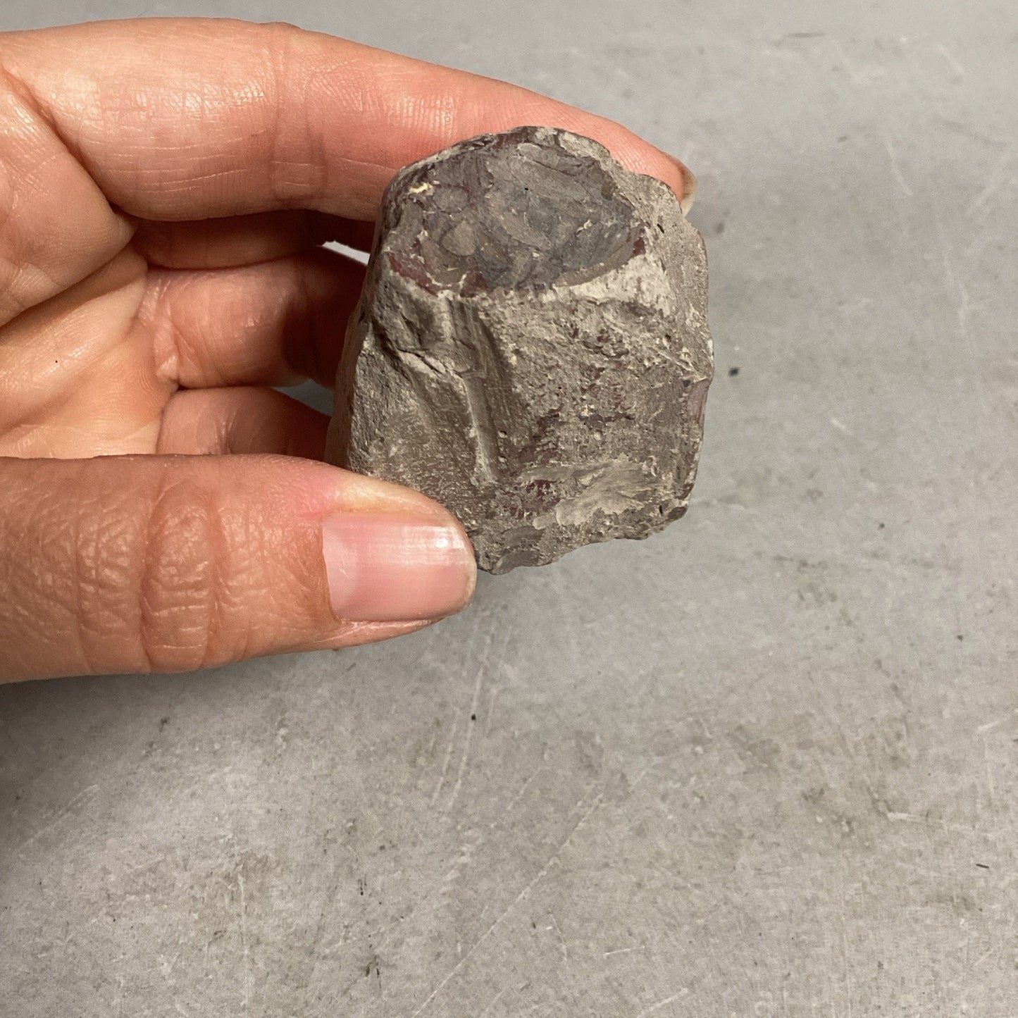 Fossil Rock - 1.5x1.25x1 3/8”