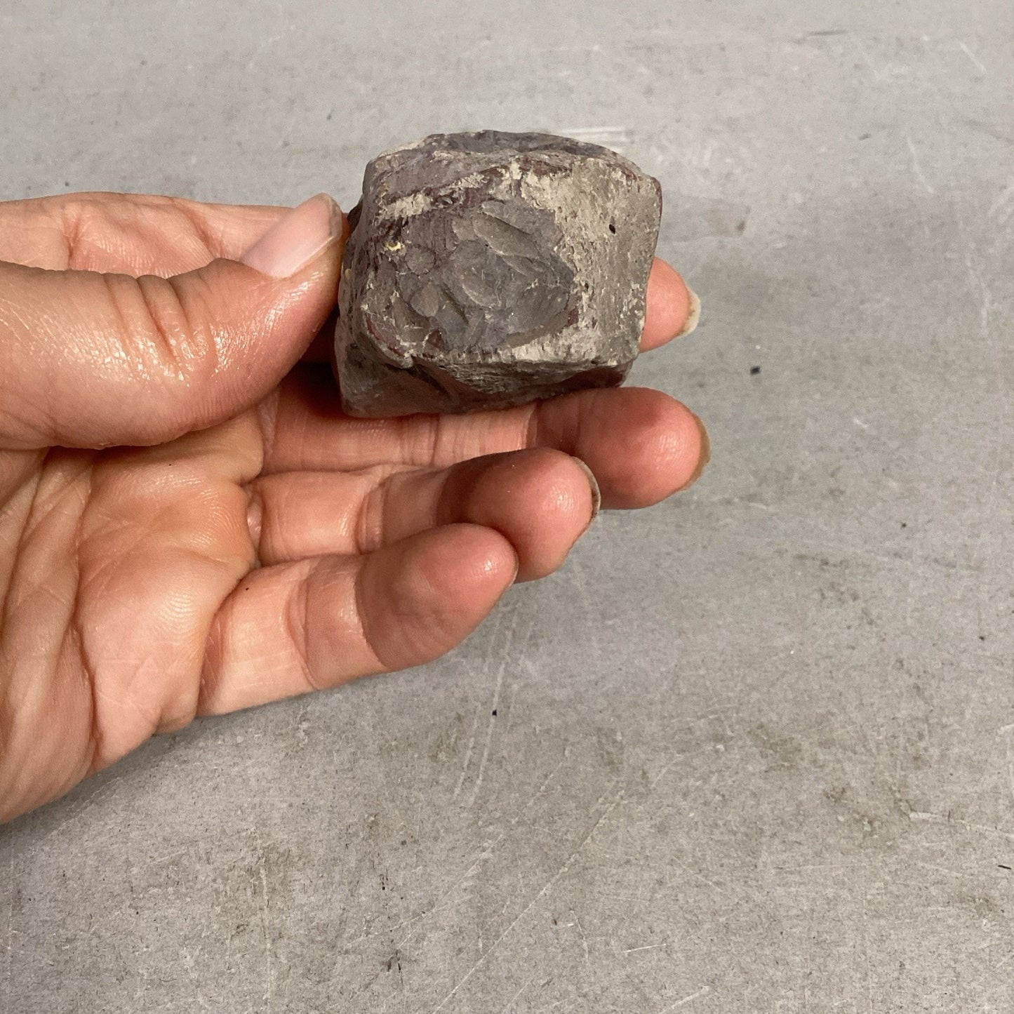 Fossil Rock - 1.5x1.25x1 3/8”