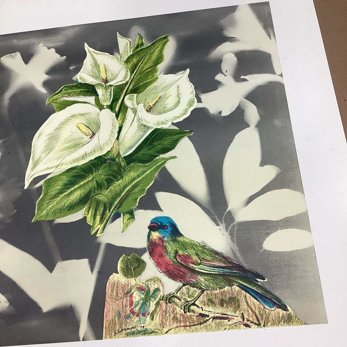 1981 Klebanow Heller Gallery Art Poster - 35x23.25” - Bird And Flower