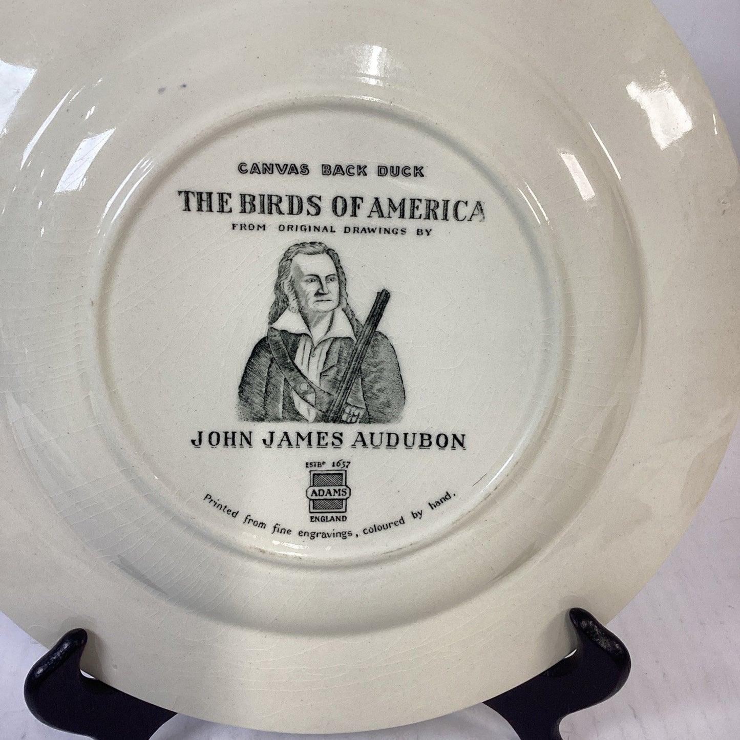 Adams Audubon Plates “Birds of America” Canvas Back Duck Dinner Plate
