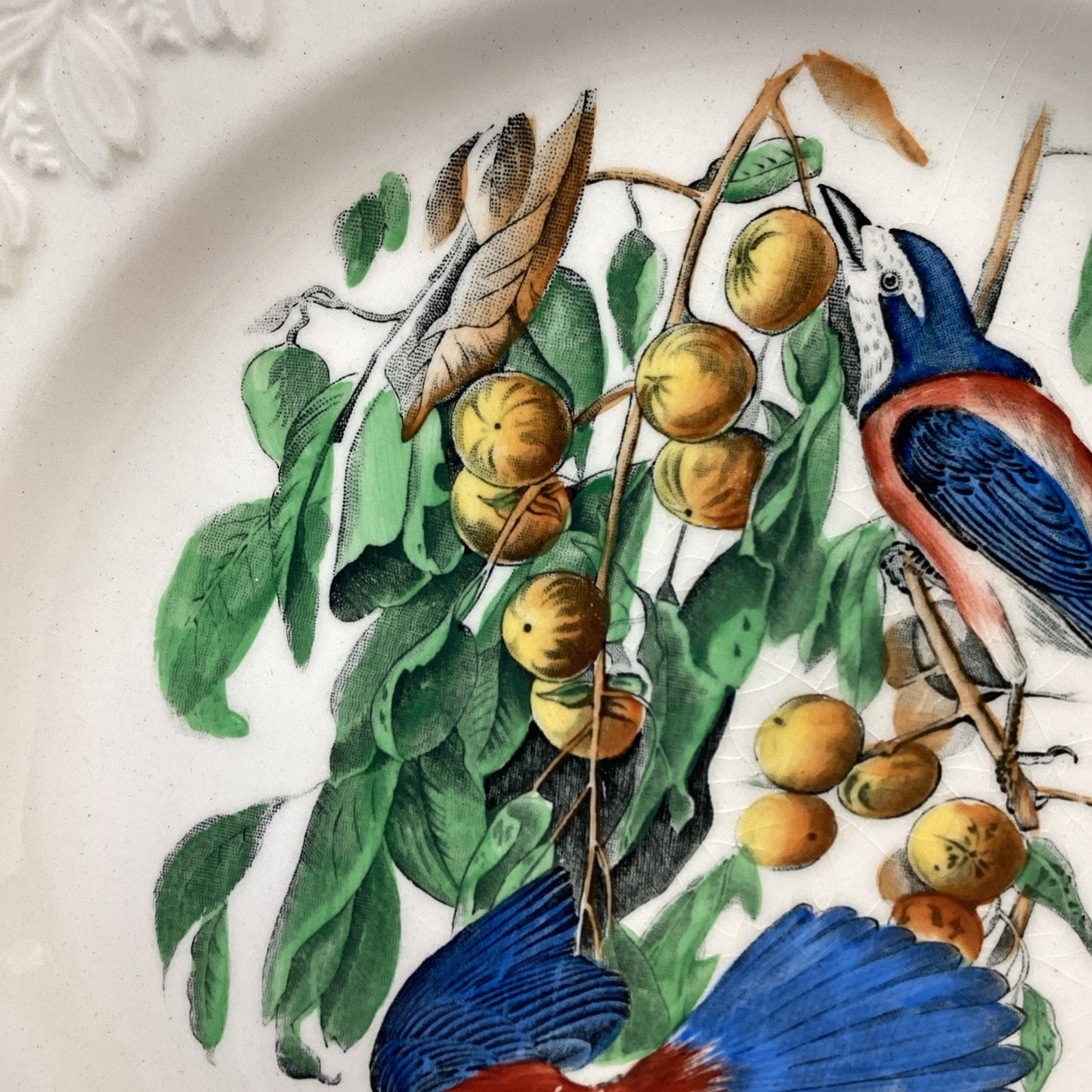 Adams England Audubon Birds of America Florida Jay Collector Plate