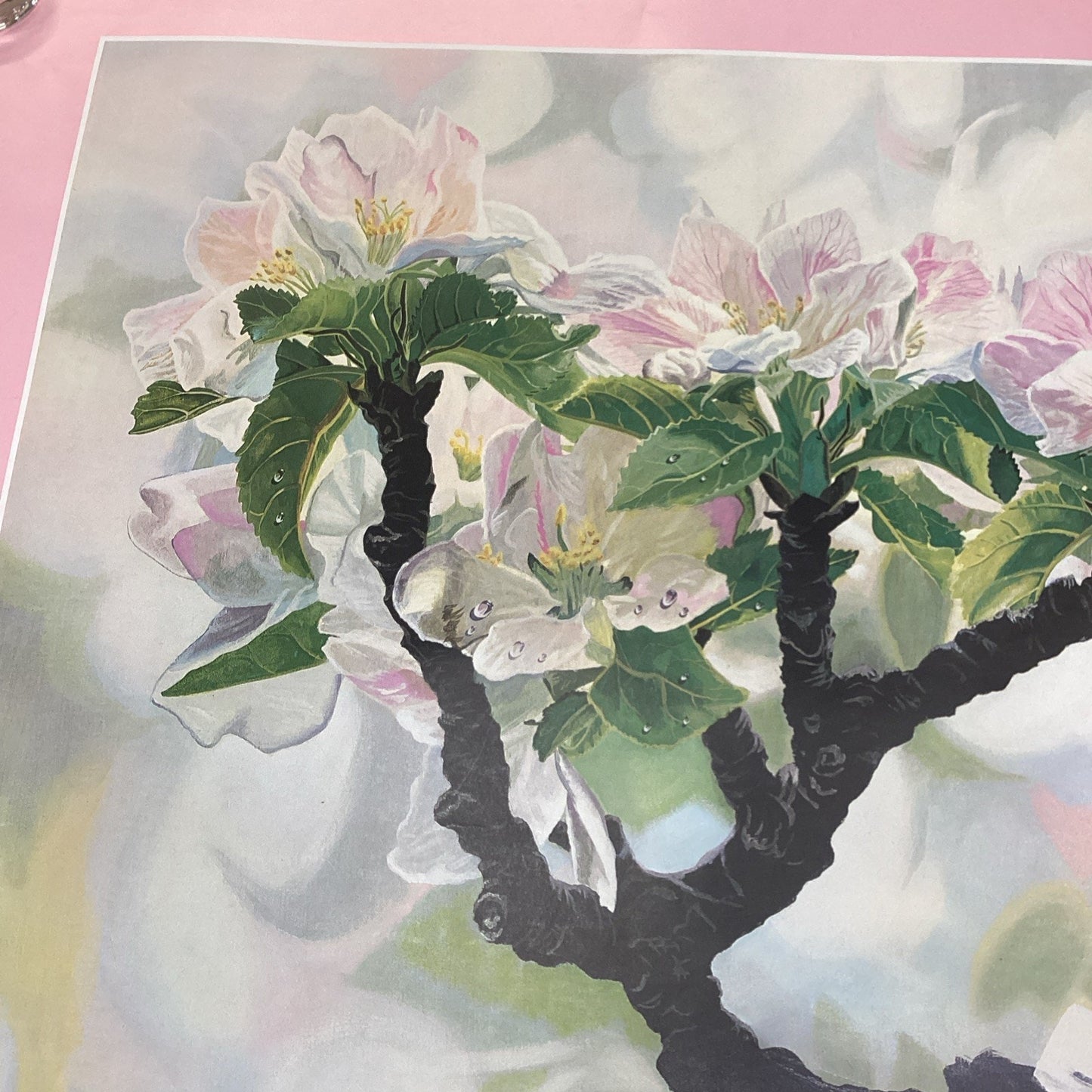 Oleziger Art Expo 1985 New York - Apple Blossoms Poster - 42.5x37.5”