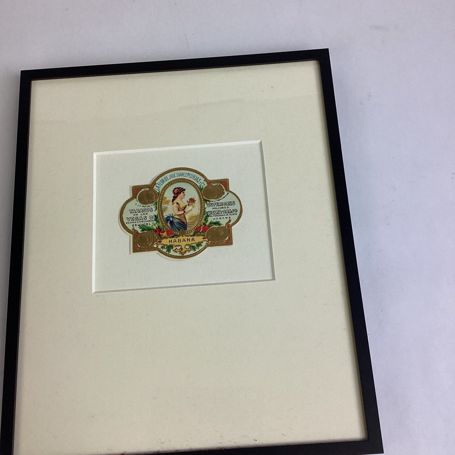 La Flor De Jose Suarez Murias Framed Picture - 14x11.75”