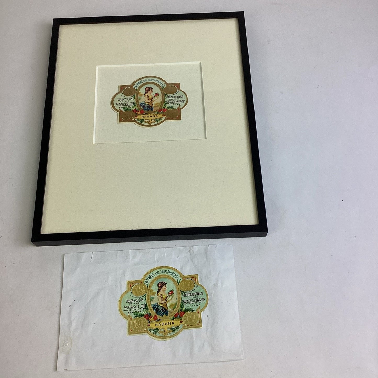La Flor De Jose Suarez Murias Framed Picture - 14x11.75”