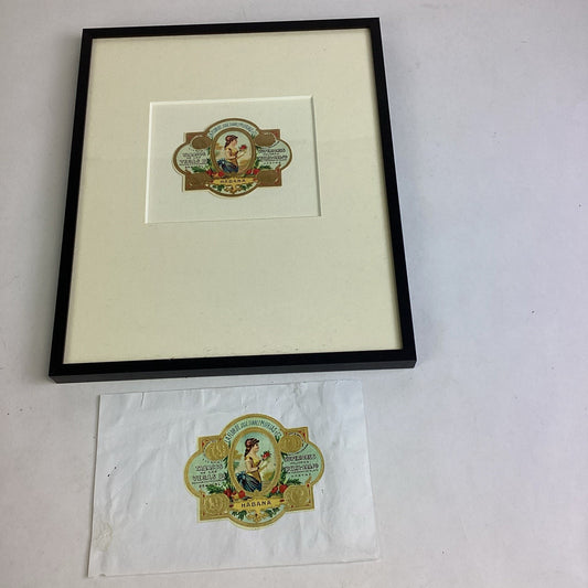 La Flor De Jose Suarez Murias Framed Picture - 14x11.75”