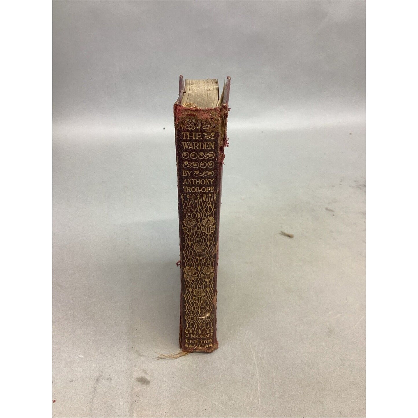 VTG 1916 - The Warden: Anthony Trollope (Everyman's Library Classics) Softcover