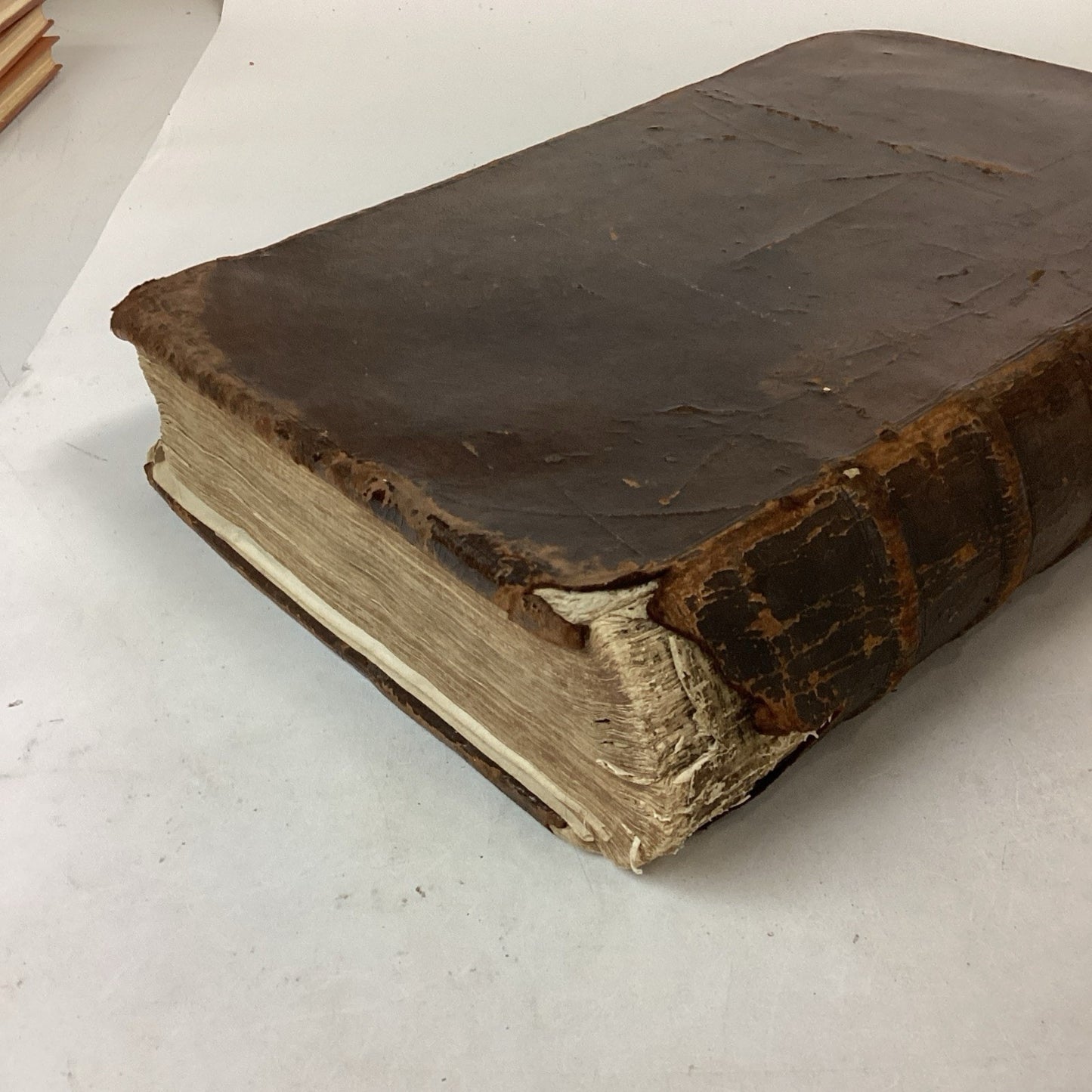 Antique 1660? Dutch Book - J. Jonston’s - Description Of The 4 Footed Animals