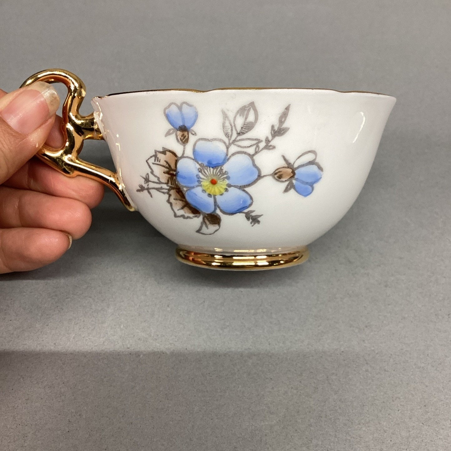 Royal Grafton Fine Bone China Blue Floral Cup/Saucer/Plate - England