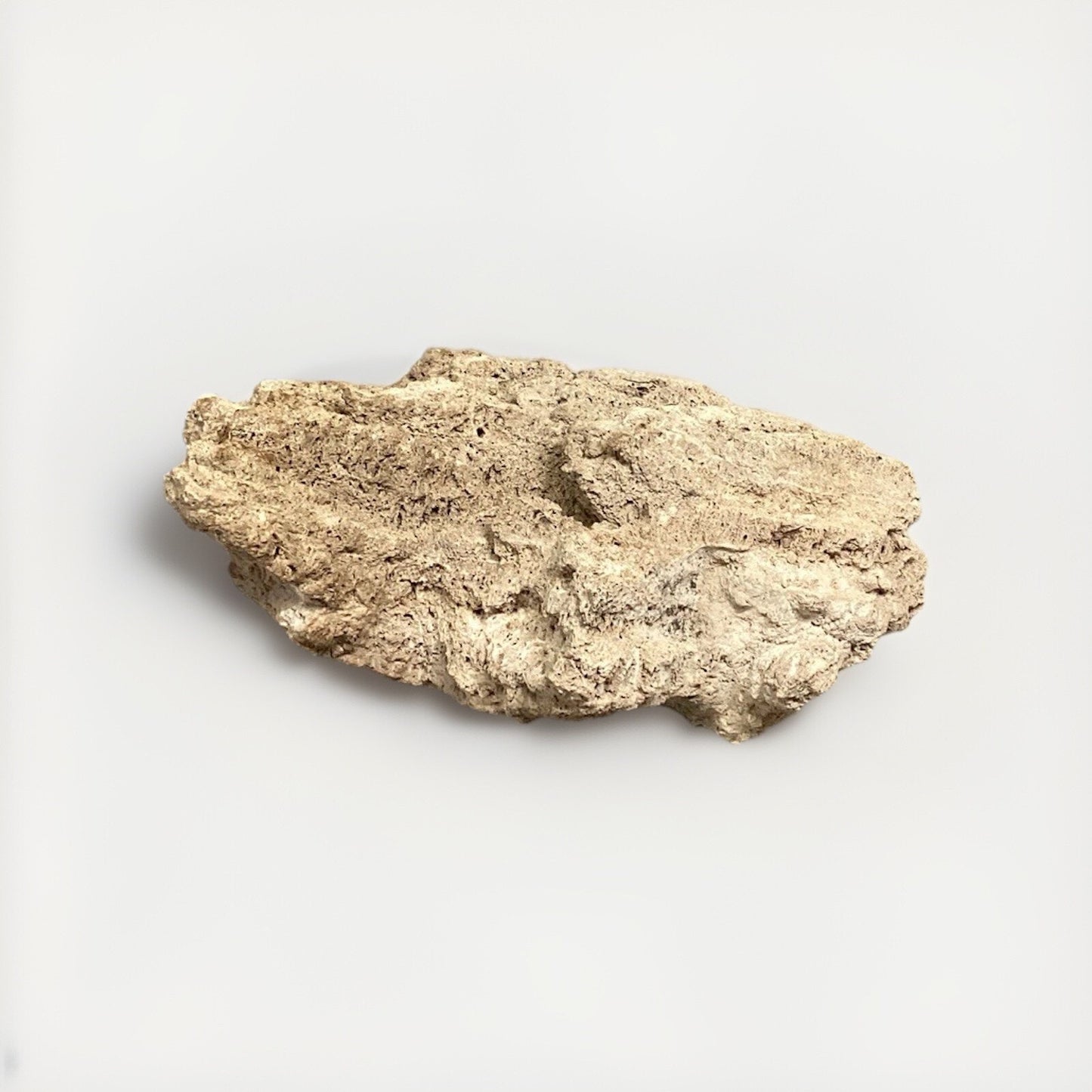 Dried All Natural Coral Fossil For Fish Tank - 14”x12x5.25”