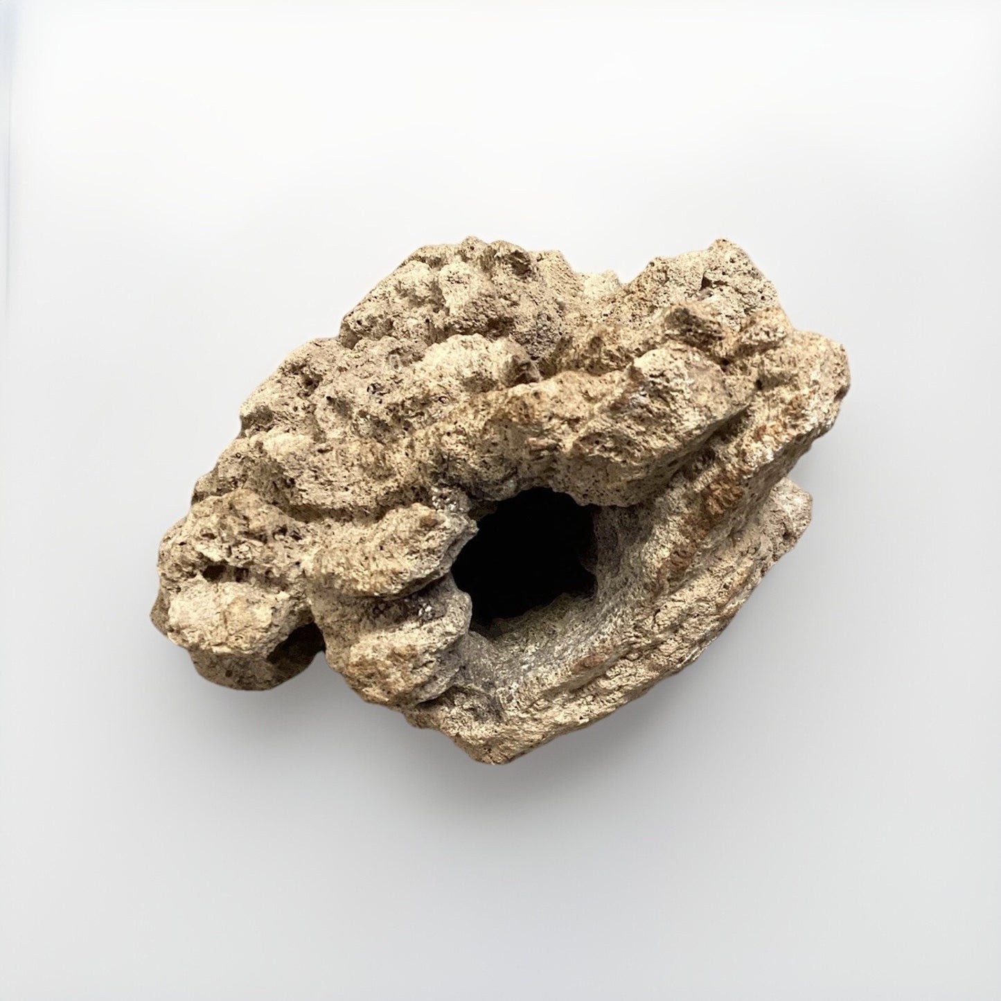 Dried All Natural Coral Fossil For Fish Tank - 14”x12x5.25”