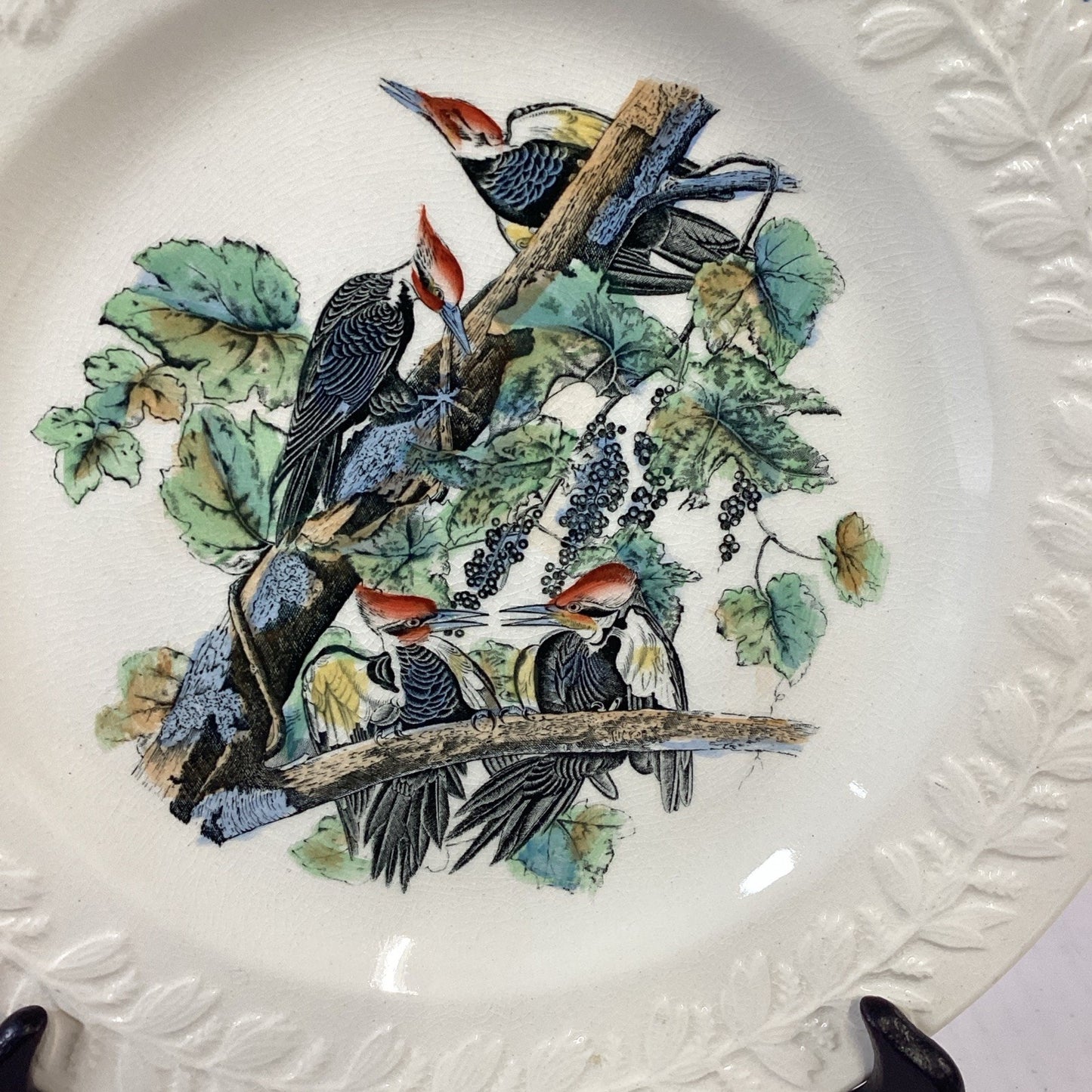 VTG Adams England Audubon Birds of America Pileated Woodpecker Collector Plate