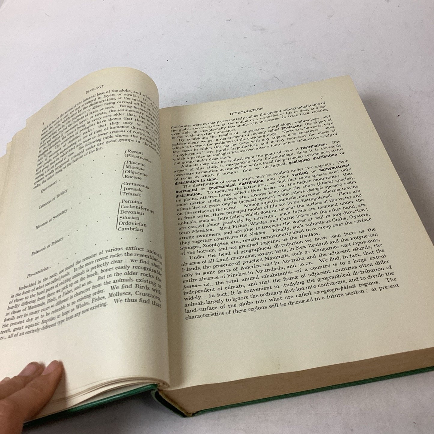 Textbook Of Zoology Volume 1 - 6th Edition - 1961 - Hardcover