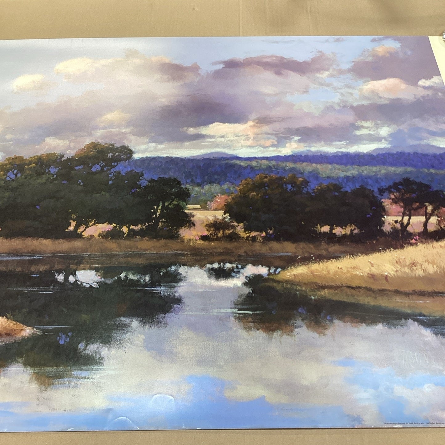 1988 Don Irwin Editions Limited Landscape Poster Print - 41x31”