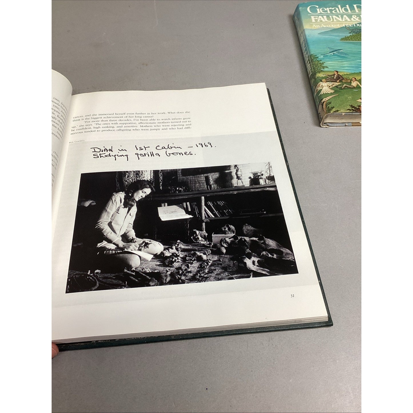 THE GREAT APES - Illustrated - Between Two Worlds National Geographic Society