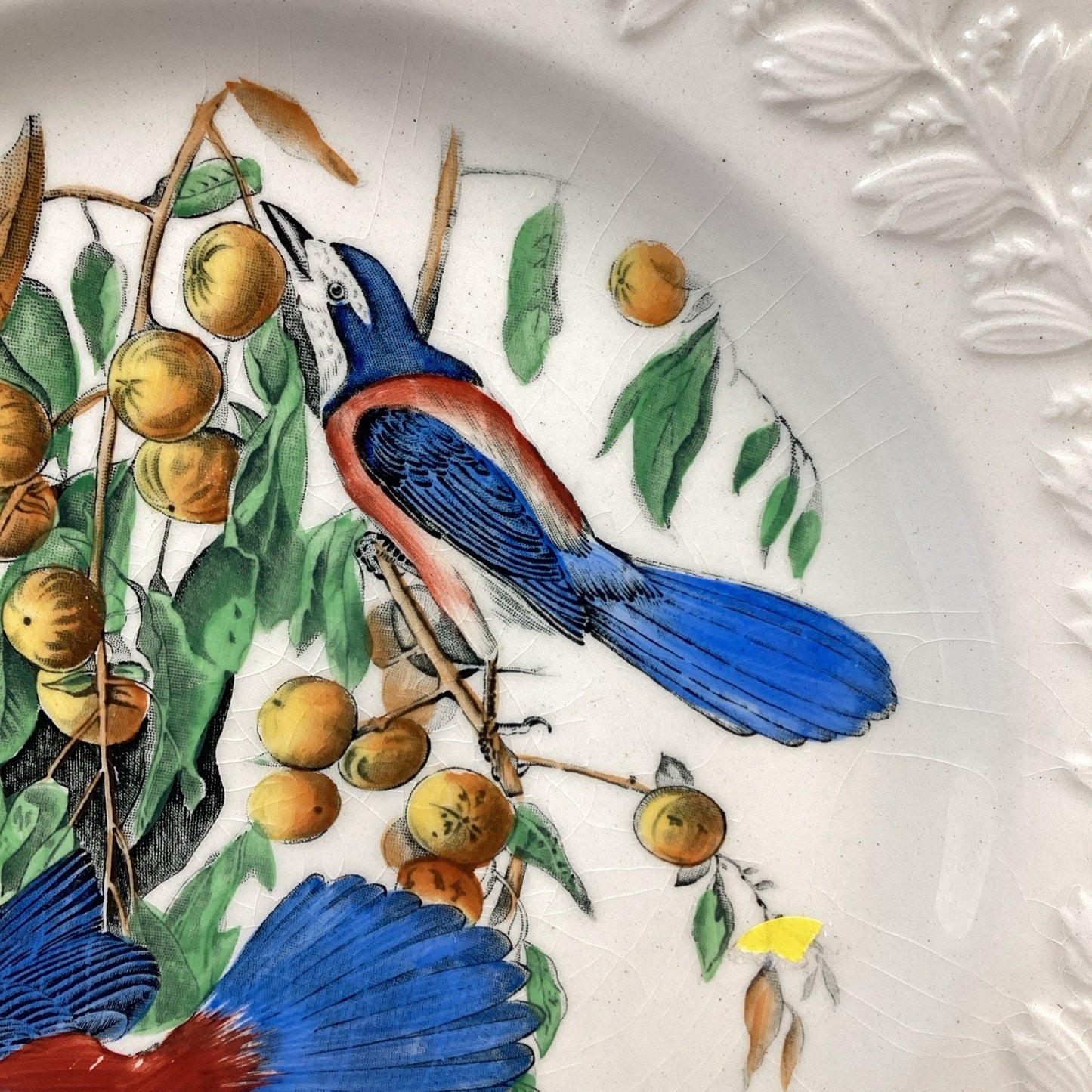 Adams England Audubon Birds of America Florida Jay Collector Plate