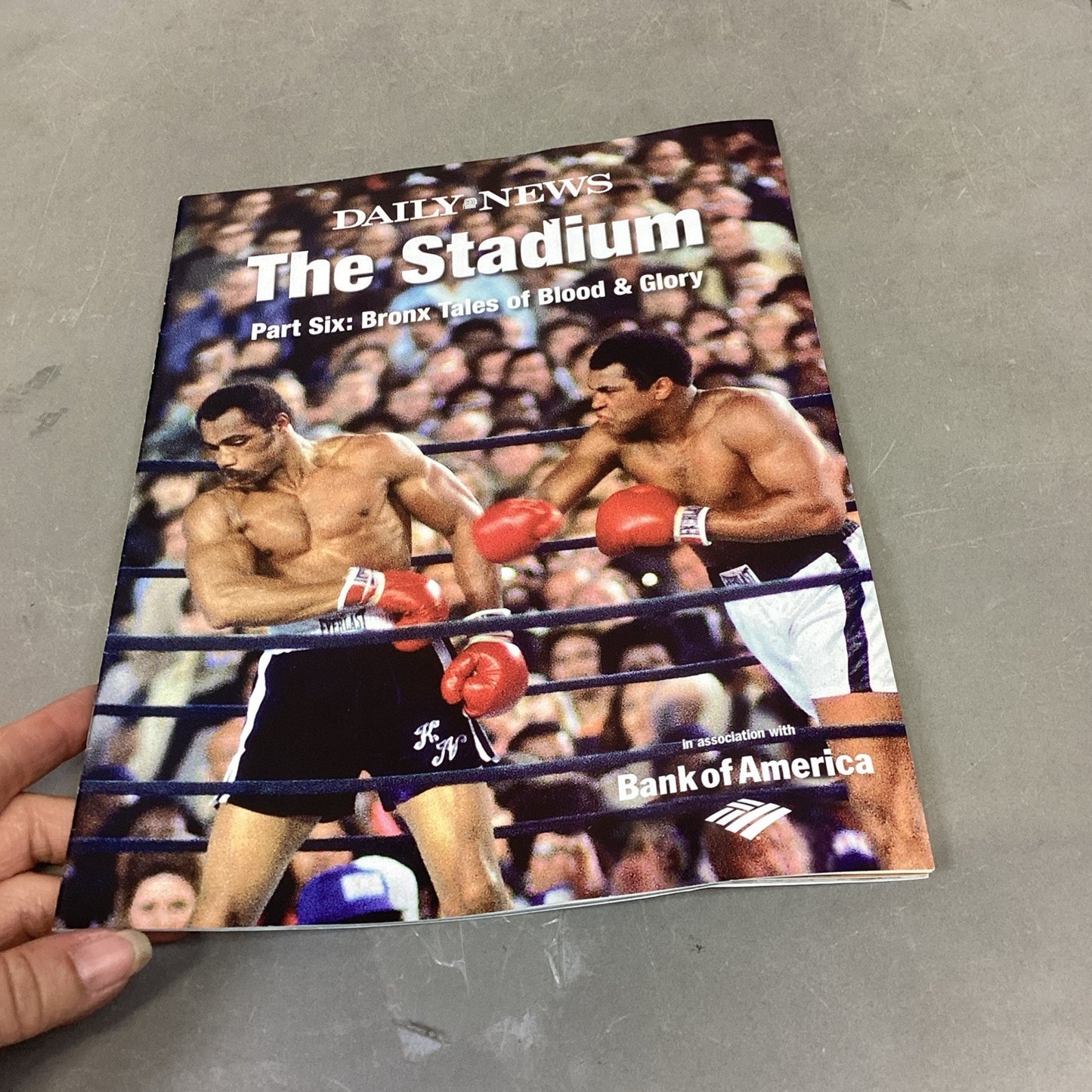 Lot Of 6 Sports Catalogs/Magazines - Bulls, Cubs, Boxing, Hockey, Football