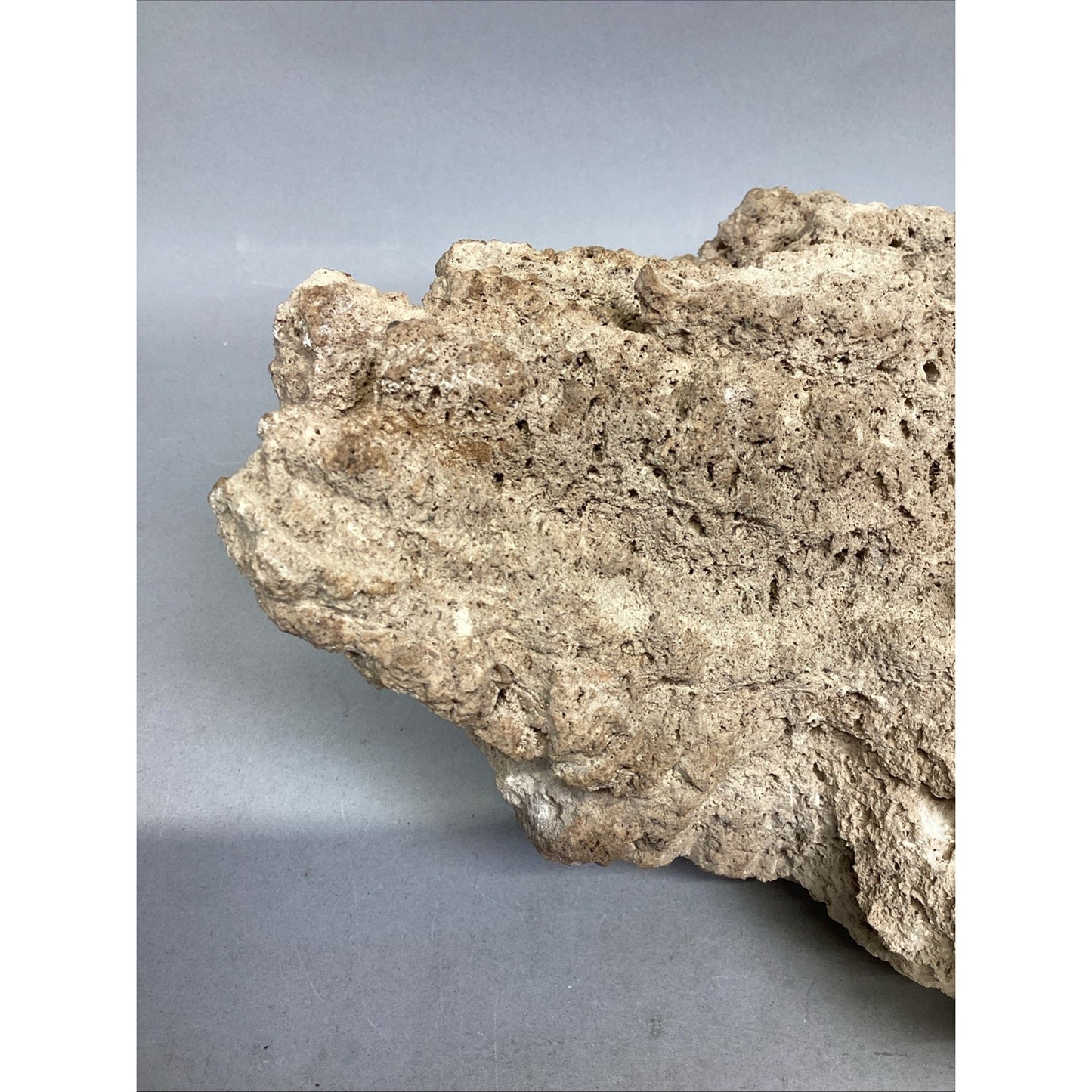 Dried All Natural Coral Fossil For Fish Tank - 14”x12x5.25”
