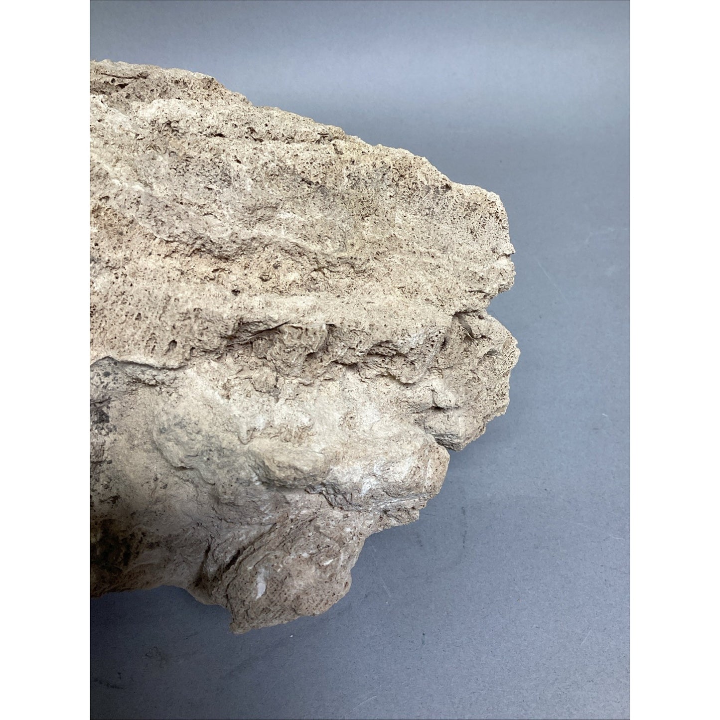 Dried All Natural Coral Fossil For Fish Tank - 14”x12x5.25”