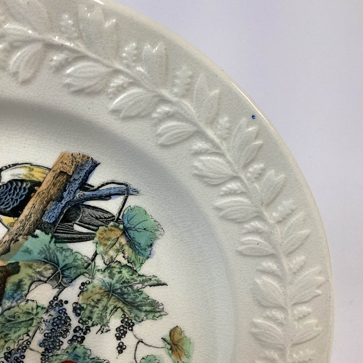 VTG Adams England Audubon Birds of America Pileated Woodpecker Collector Plate