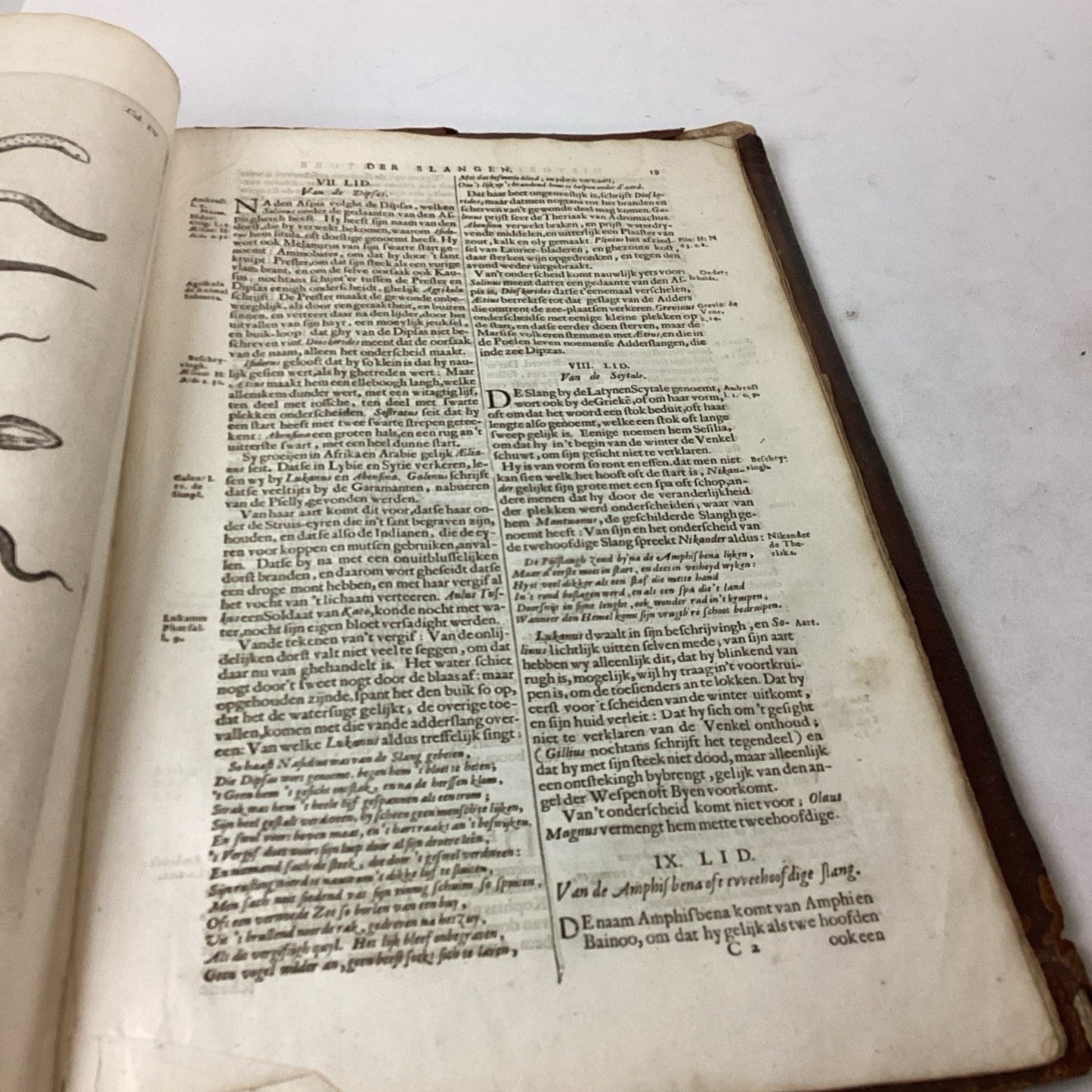 Antique 1660? Dutch Book - J. Jonston’s - Description Of The 4 Footed Animals