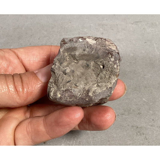 Fossil Rock - 1.5x1.25x1 3/8”