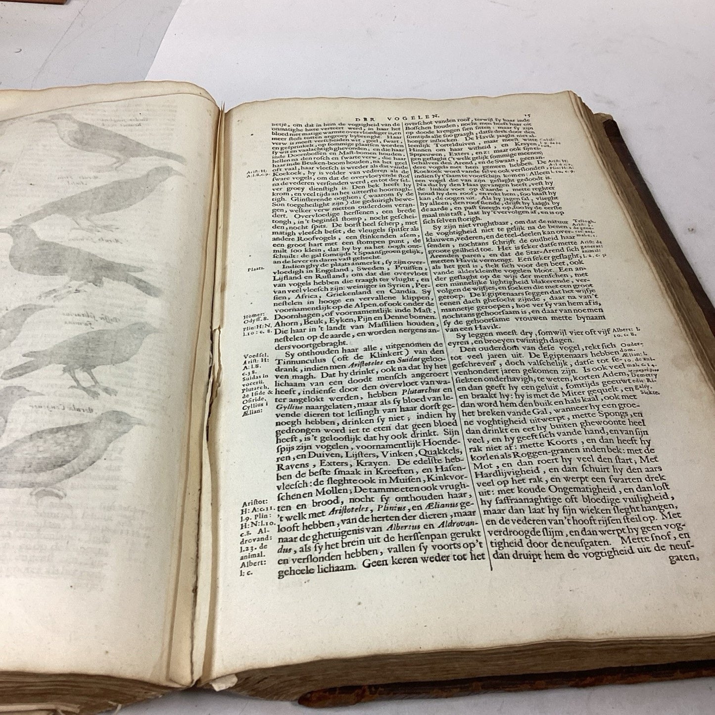 Antique 1660? Dutch Book - J. Jonston’s - Description Of The 4 Footed Animals