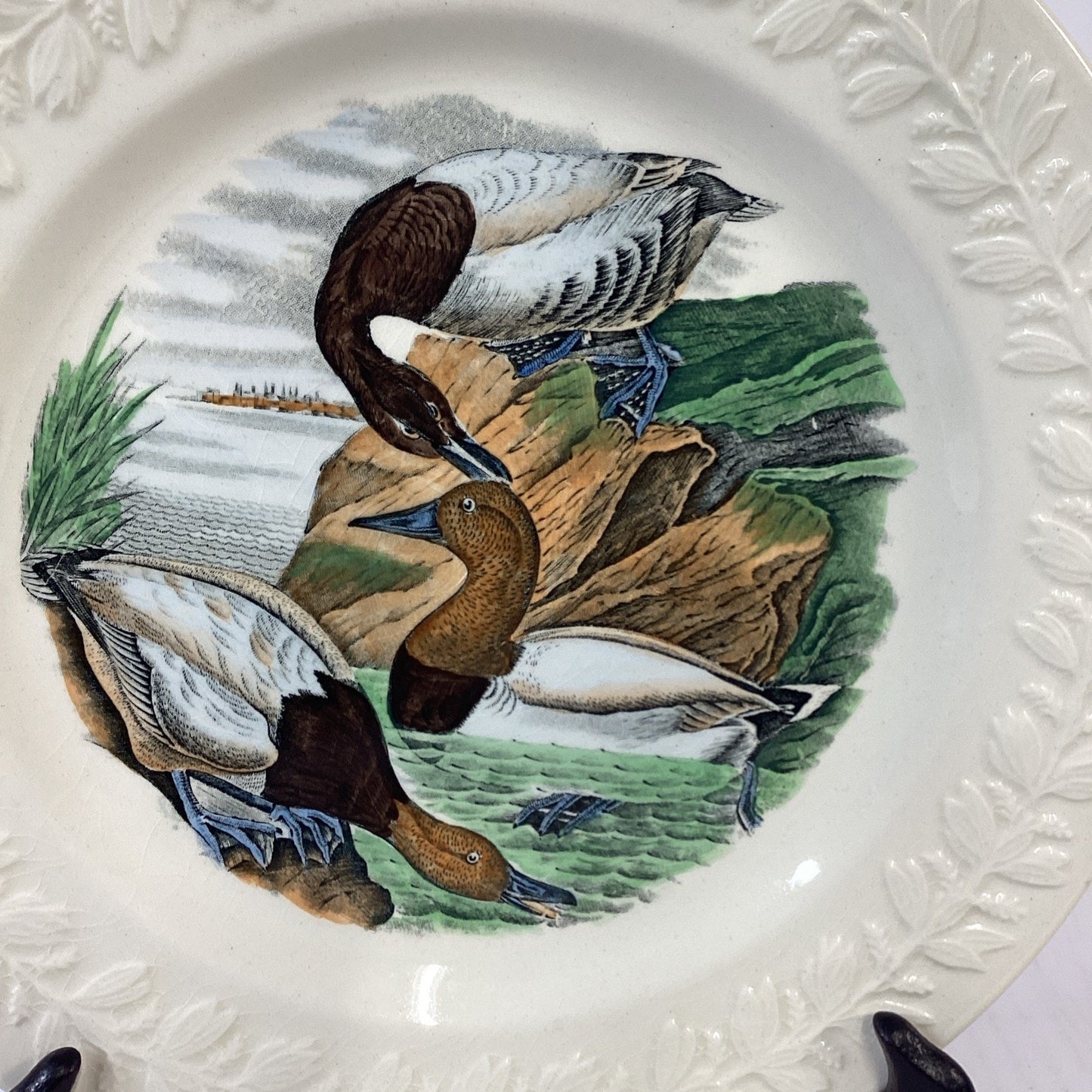 Adams Audubon Plates “Birds of America” Canvas Back Duck Dinner Plate