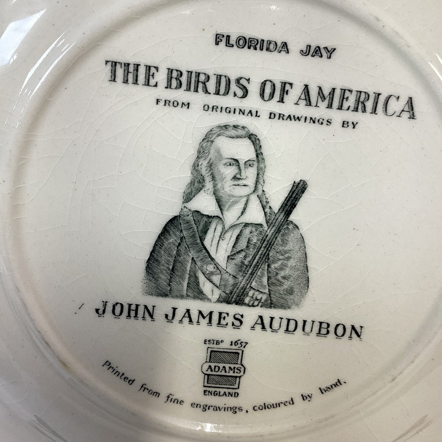 Adams England Audubon Birds of America Florida Jay Collector Plate