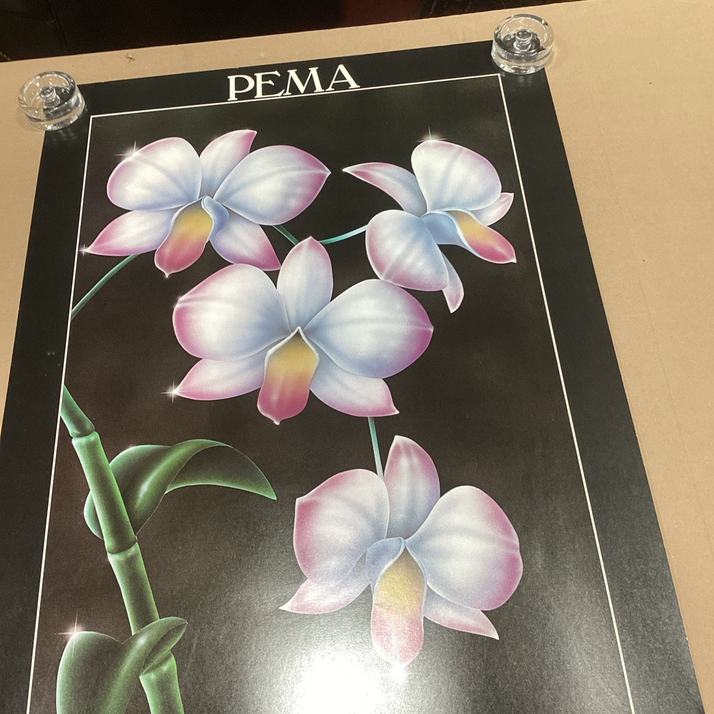 Pema Art Of The 80’s New York Exhibition White Pink Floral Poster - 36x24”
