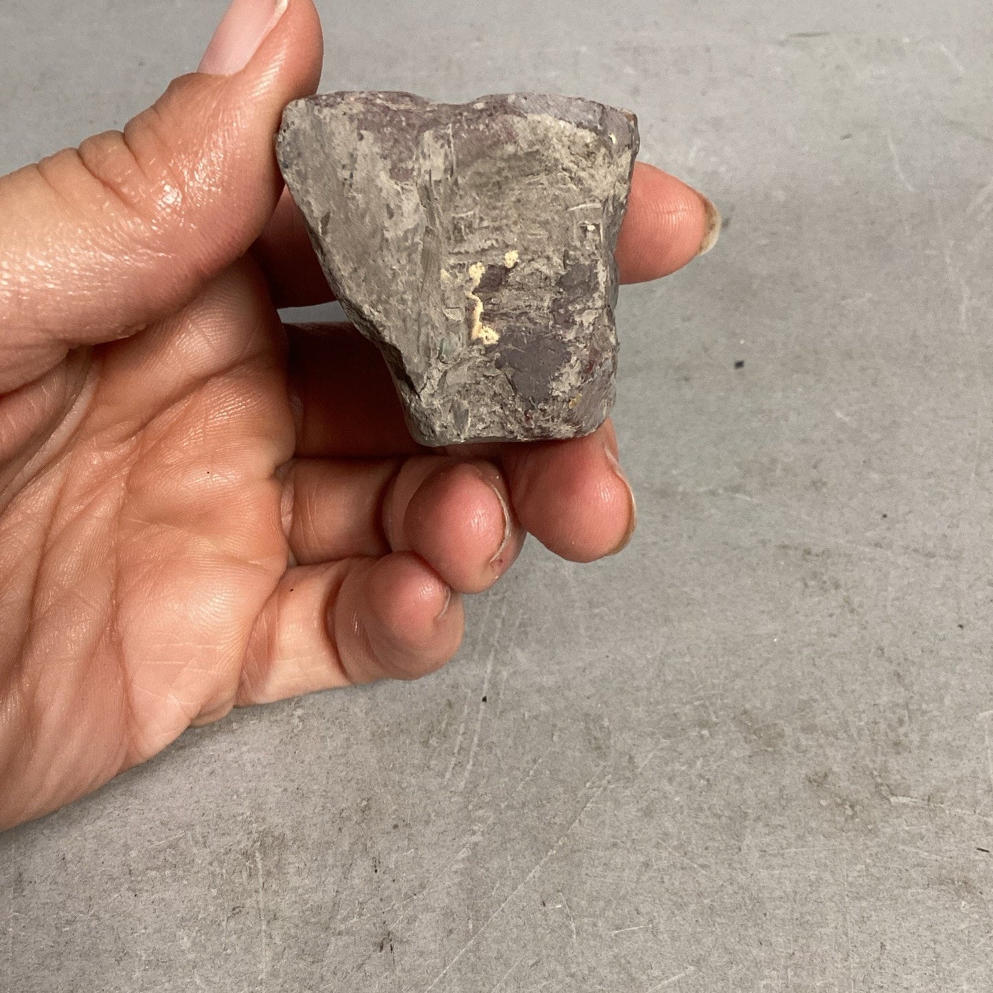 Fossil Rock - 1.5x1.25x1 3/8”