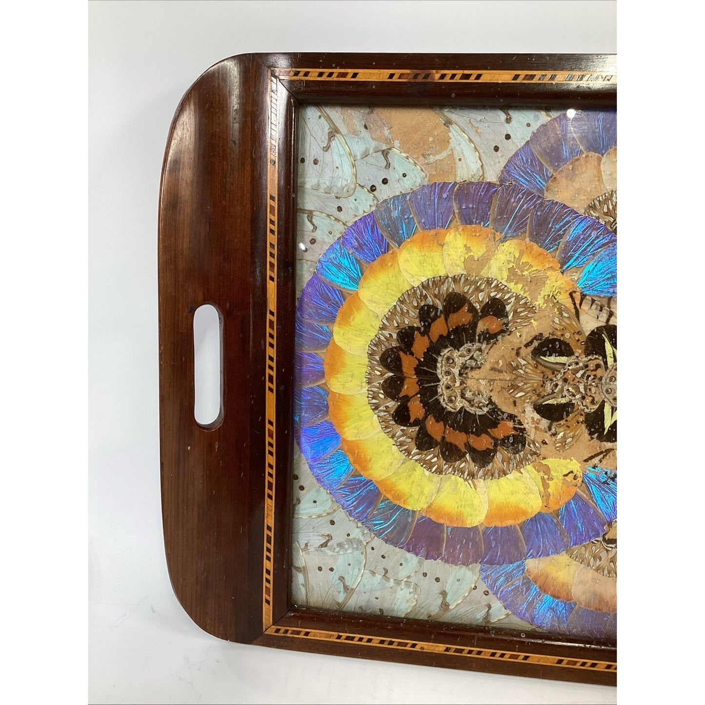VTG Brazilian MCM Morpho Butterfly Wing Art in Wood Inlaid Marquetry Tray
