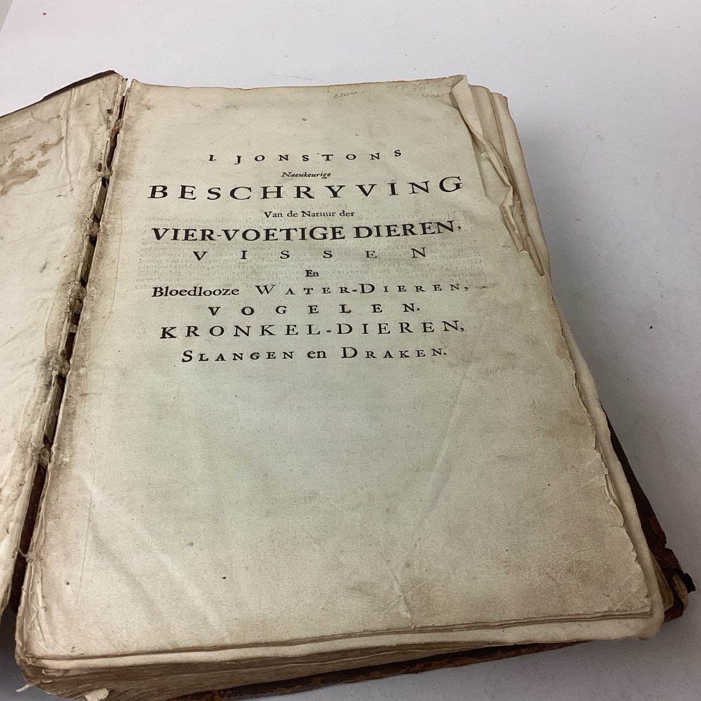 Antique 1660? Dutch Book - J. Jonston’s - Description Of The 4 Footed Animals