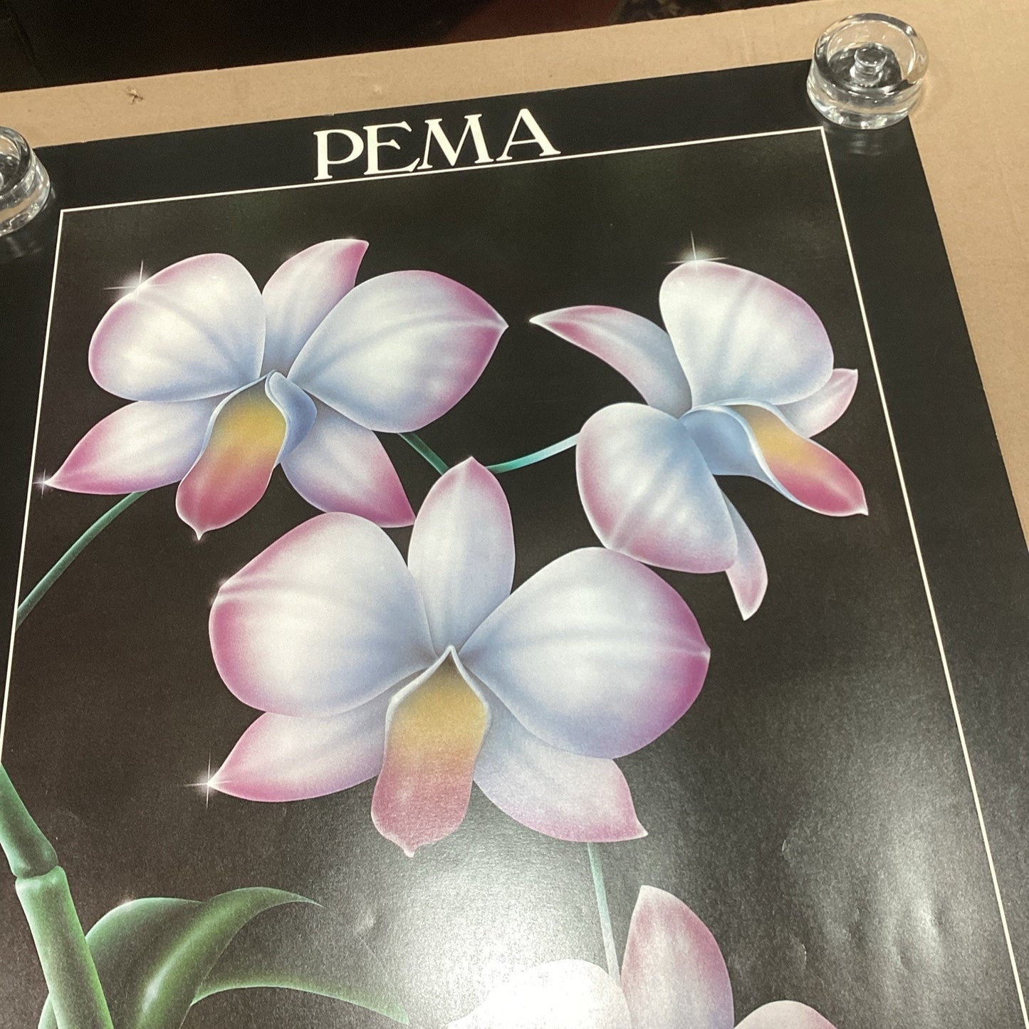 Pema Art Of The 80’s New York Exhibition White Pink Floral Poster - 36x24”